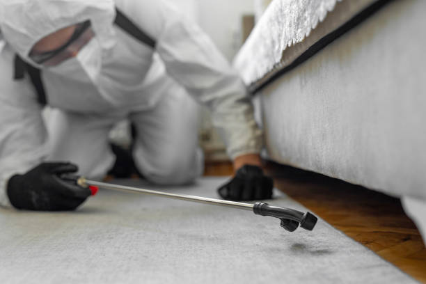 Professional Bed Bug Control technician working in Rock Falls, IL
